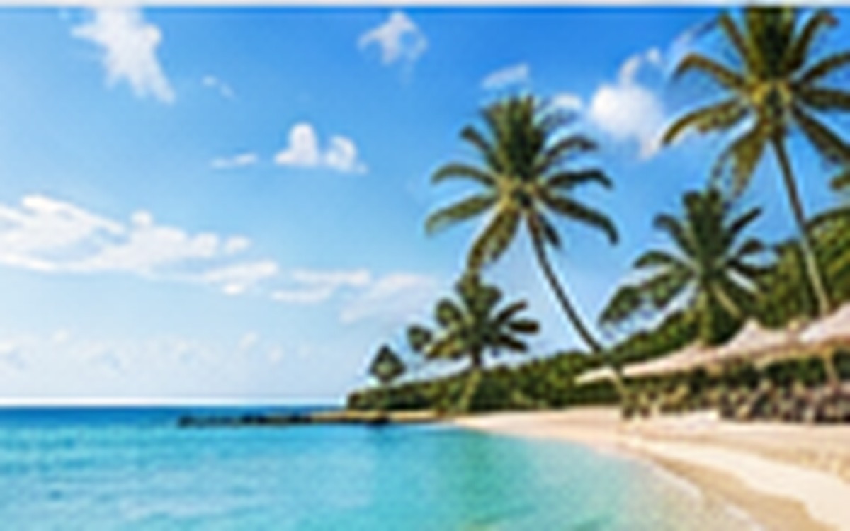 Bright Caribbean beach with palm trees and turquoise water