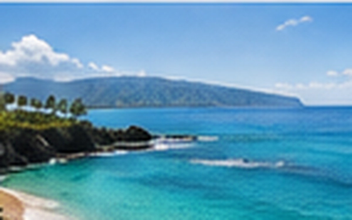 Hawaiian coastline with clear blue water and tropical greenery